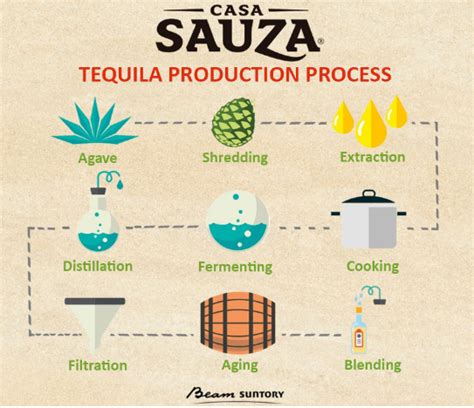 Agave Sugar Optimization For Tequila Production