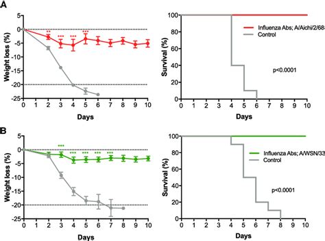 Heterosubtypic Immunity Protects Mice From Influenza Challenge A And