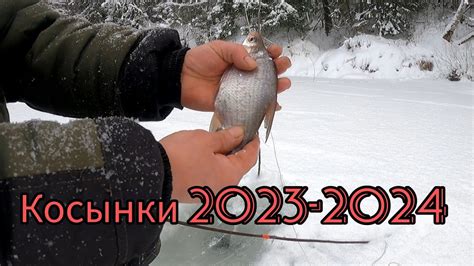 РЫБАЛКА НА КОСЫНКИ. "МЕГА"ЩУКА. ЗАГИБОВ НЕТ, НО ВСЕ РАВНО ПОЛОВИЛ ...