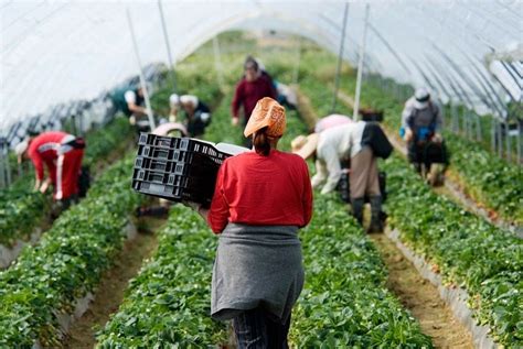 Mano de obra nicaragüense representa 16 del mercado laboral en Costa