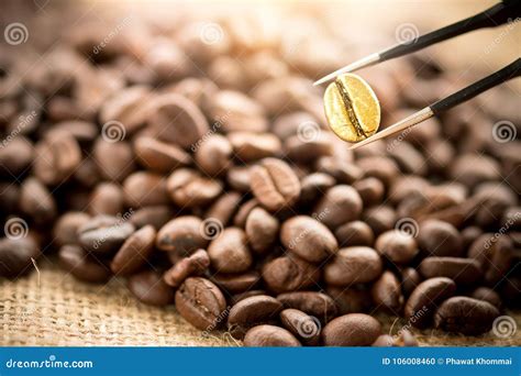 Premium Gold Coffee Beans In The Tongs Stock Photo Image Of Cafe