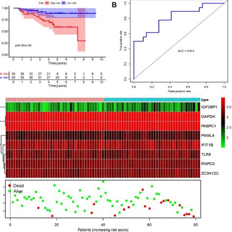 Risk Score Analysis Of Eight Genes Prognostic Model In The Gse31210