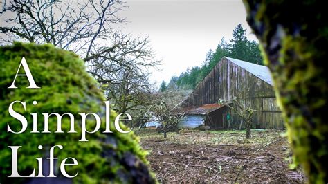 Pruning A 100 Year Old Neglected Apple Tree Youtube