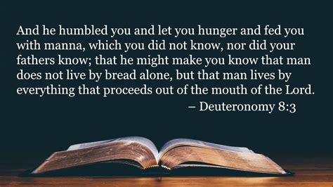 Your Daily Bible Verses Deuteronomy Integrated Catholic Life