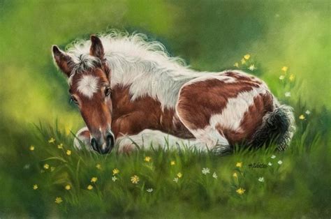 Horse Painting Horse Artwork Horse Art