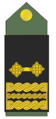 Croatia Croatian Army ranks combat field uniforms military equipment ...