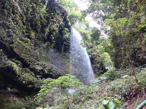 Senderismo De Pies Bosque Del Canal Y Los Tilos Cascada De Los Tilos