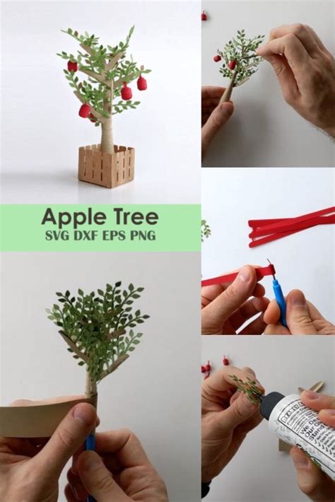 Mini Apple Tree Template SVG Graphic By Hey JB Design Creative