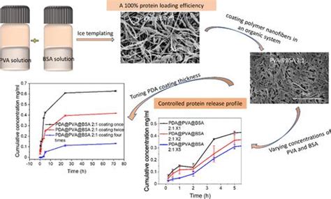 用于原位蛋白质负载和控制释放的聚多巴胺涂层聚合物纳米纤维acs Omega X Mol