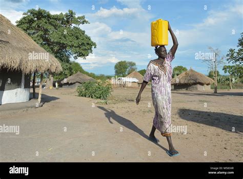 A Dinka Woman From South Sudan Carries Water In The Rhino Refugee Camp