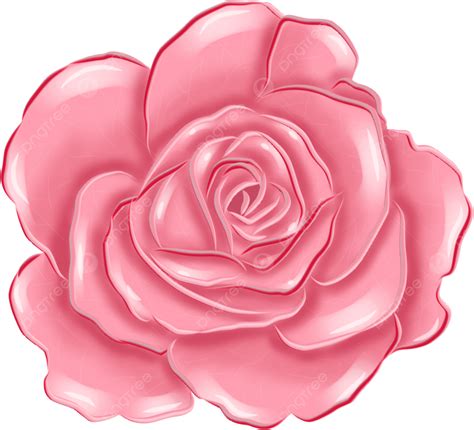 Rosa Rosa Dibujo Ilustración Png Rosa Rosada Rosa Flor Png Y Psd