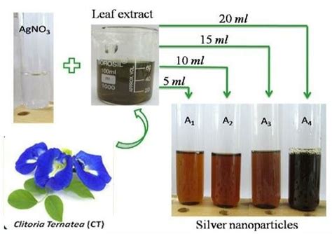 Silver Nanoparticle Using Plant Extract Download Scientific Diagram