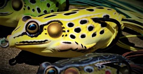 Hollow Body Frog Lure Modifications To Catch More Bass Rangetoreel