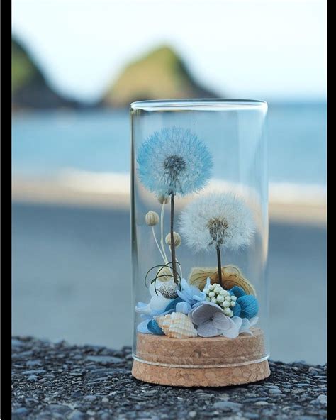 Pusteblume Haltbar Machen Konservieren Im Glas Und Als Deko Verwenden