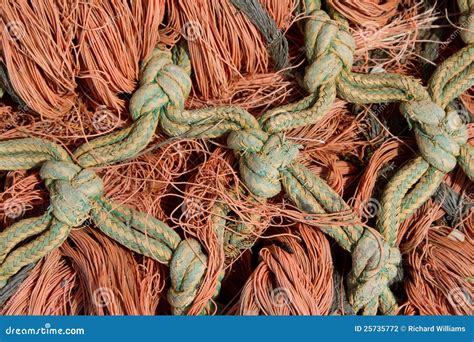 Rope strands. stock photo. Image of textures, background - 25735772