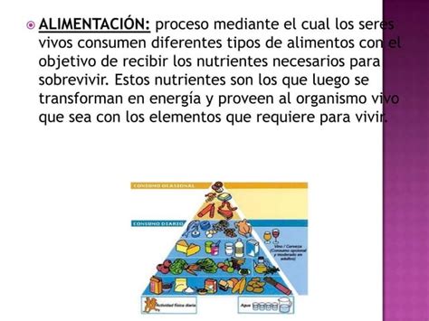 Alimentacion Saludable Para Crecer Fuerte Y Sano Ppt