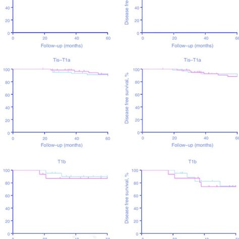 Overall Survival Os And Disease Free Survival Dfs Kaplan Meyer Download Scientific