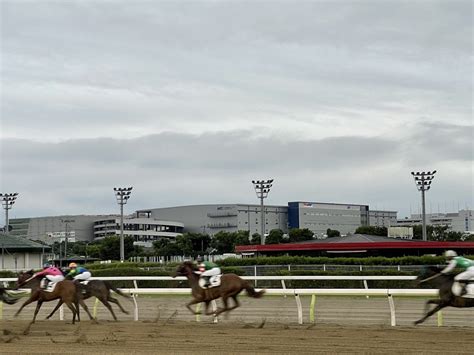 【エプルシャージュ連勝】今週の動向part1（nar出資馬出走結果） もしも一口馬主で“競走馬育成シミュレーションゲーム”みたいな体験が