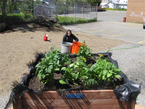 Vers Vert La Culture Centre D Ducation Des Adultes De Matane