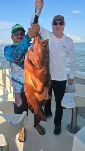 Puerto Vallarta Fishing Report July 2024 Puerto Vallarta Fishing