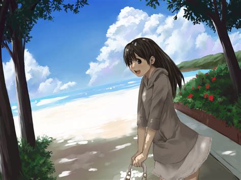 Safebooru Beach Blue Eyes Brown Hair Cloud Clouds Flower Long Hair