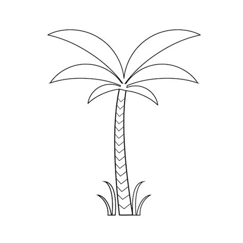 Contorno De Palmera Vector Premium