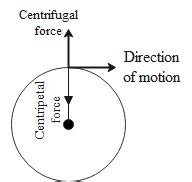 Define Centrifugal Force Explain Any One Example