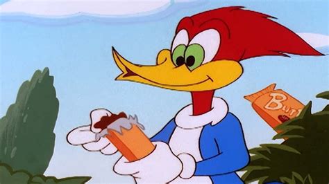 Woody Finds A Surprise In The Forest Woody Woodpecker YouTube