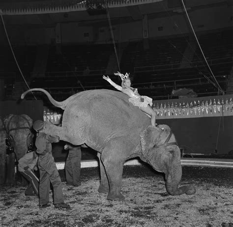 Ringling Bros See Circus Photos Through The Years Time