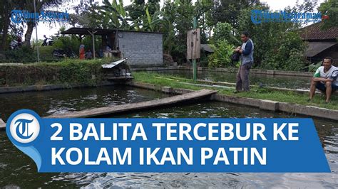 Balita Di Boyolangu Tulungagung Meninggal Tercebur Ke Kolam Ikan