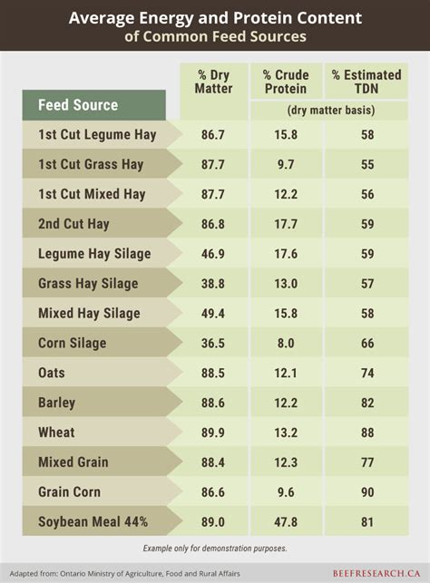 Beef Cattle Nutrition New Topic Page BeefResearch Ca