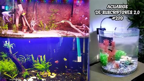 Acuarios De Suscriptores Pez Goldfish Pez Betta Pez Guppy