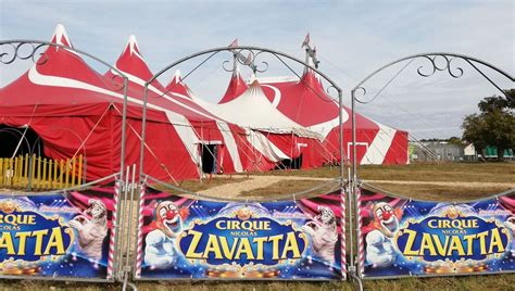 Info Flash France Bleu Une Association Contre Le Cirque Zavatta Et