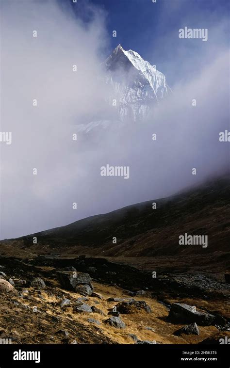 Machhapuchhre Annapurna Sanctuary, Nepal Stock Photo - Alamy