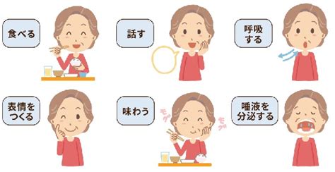 おいしく食べるためのお口のケア 口腔ケアの大切さ 体の機能とケア 介護食のあいーと イーエヌ大塚製薬