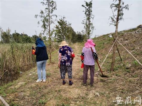 近百名女性加入巢湖大堤巡查值守，这群“防汛娘子军”值得点赞腾讯新闻