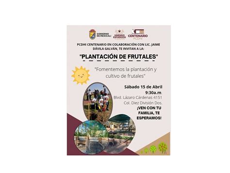 Invitan A Familias A Plantar Rboles Frutales En Parque Centenario