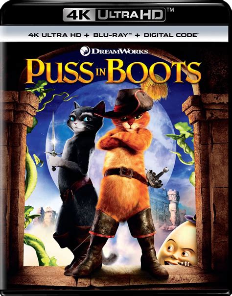 Puss In Boots Dvd Cover