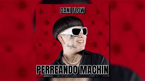 Perreando Machin Dani Flow Audio Oficial Youtube