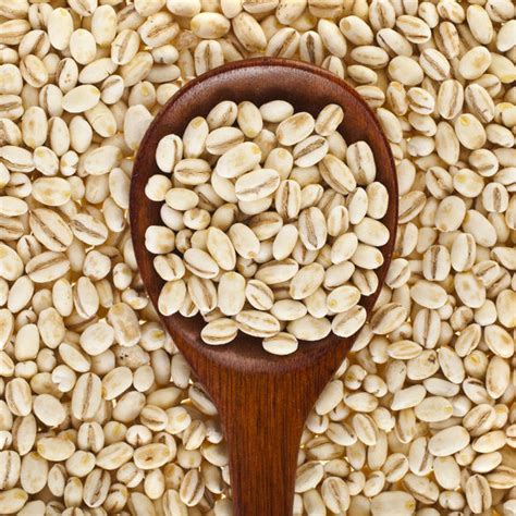 Barley | Baking Ingredients | BAKERpedia