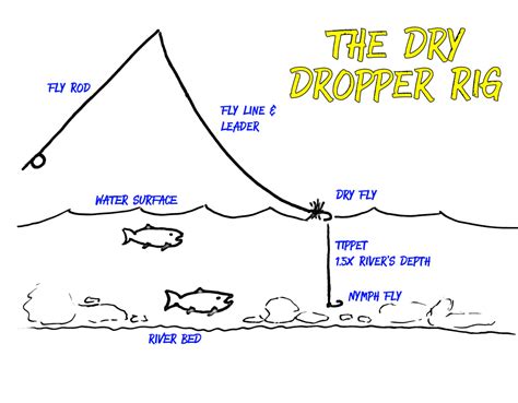 What Is The Dry Dropper Rig Best Beginner Fly Fishing Setup