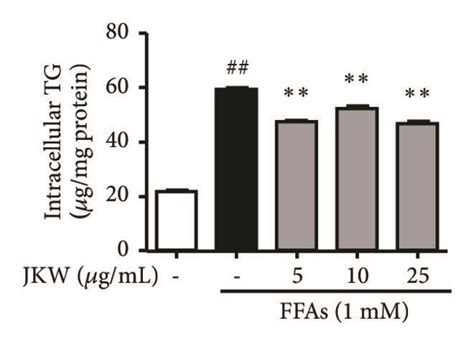 Effects Of Jkw On Intracellular Tg And Tc And On Lipid Accumulation In