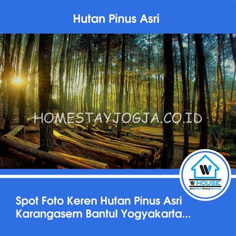 Hutan Pinus Asri Daya Tarik Fasilitas Rute Jam Buka Dan Harga