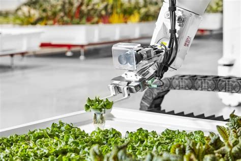 Los Robots Cultivan La Granja La Agricultura Del Futuro Ya Est Aqu