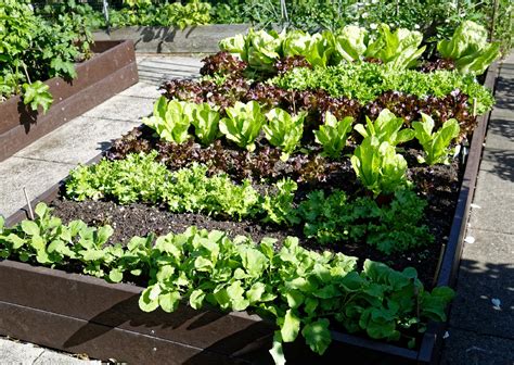 How To Fill A Raised Garden Bed With Soil Layers