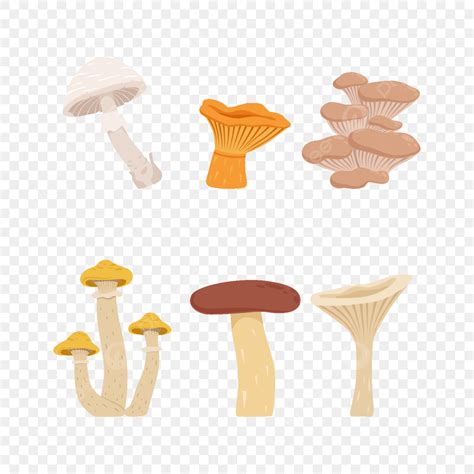 Mushroom Illustration Vector Art Png Cartoon Mushrooms Illustration