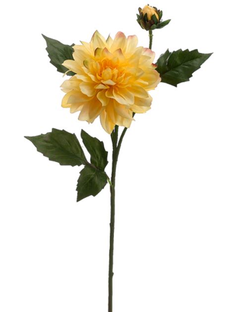 Download 5 Dahlia Spray With 1 Flower And 1 Bud Yellow Silk Plants