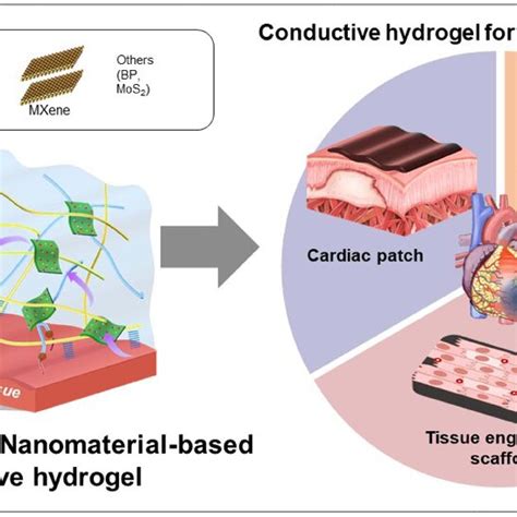 Conductive Hydrogels Containing Low Dimensional Non Metallic