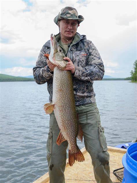 Putin fishing pike | Anonima Cucchiaino