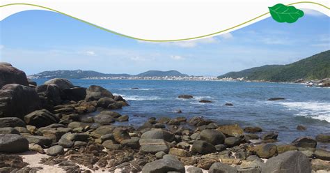 Descubra A Praia Da Galheta Bombinhas Sc Vila Do Bosque